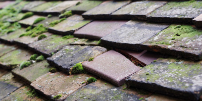 Bolter End roof repair costs
